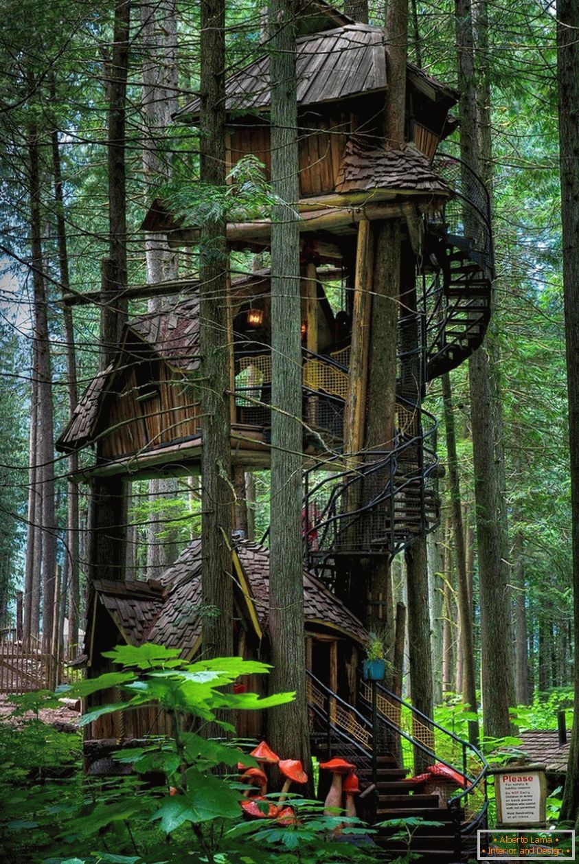 Three Story Treehouse (Colombie-Britannique, Canada)