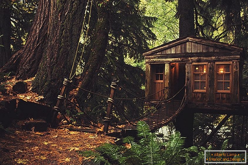 Cabane dans les arbres à Seattle (Seattle, USA)