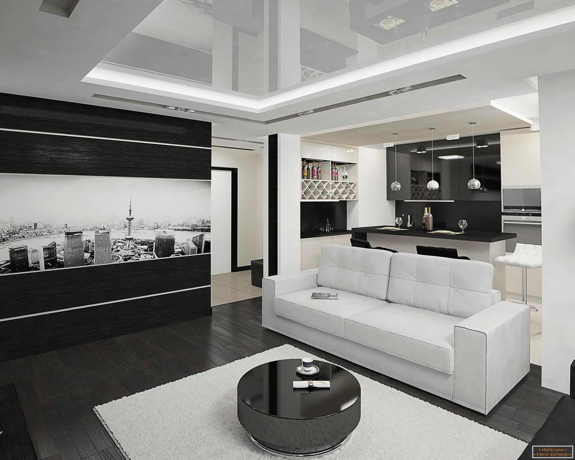 Cuisine noire et blanche et salon intérieur sur 20 mètres carrés