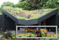 30 удивительных идей для оформления jardin sur le toit