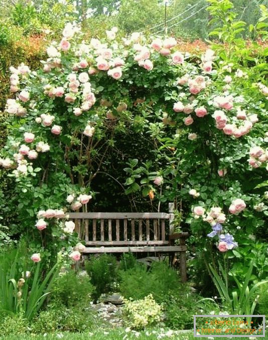 Un endroit isolé pour se détendre dans le jardin