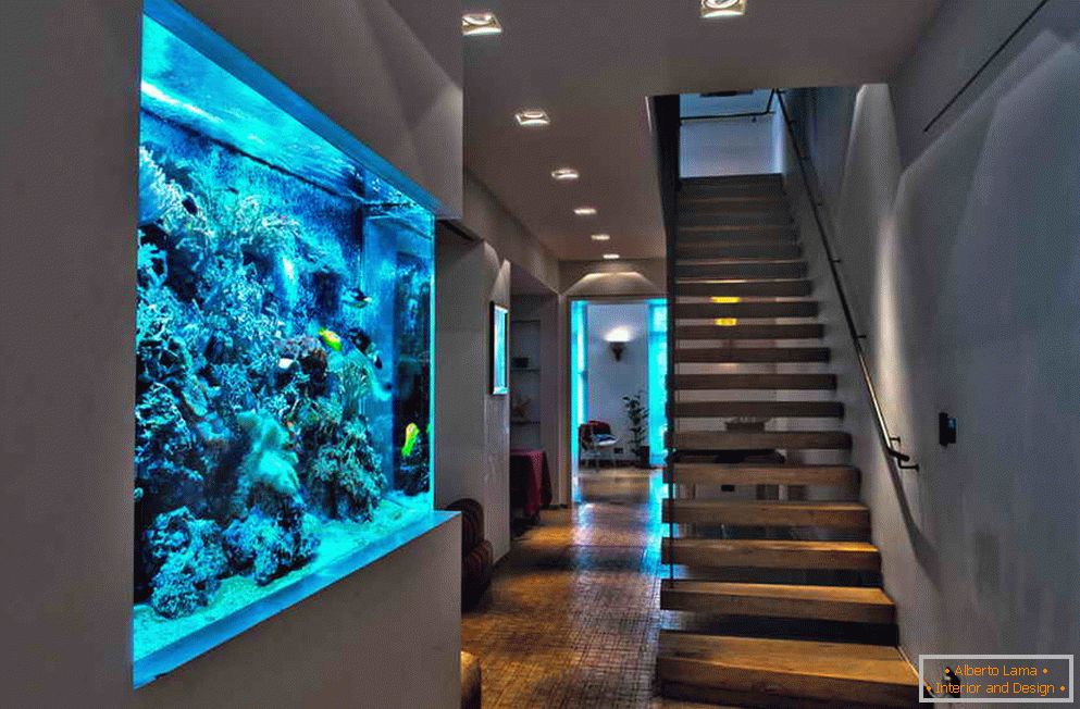 Aquarium dans le mur du couloir
