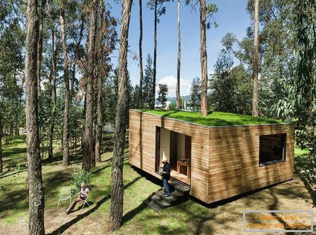 Petite maison dans la forêt avec toit en mousse