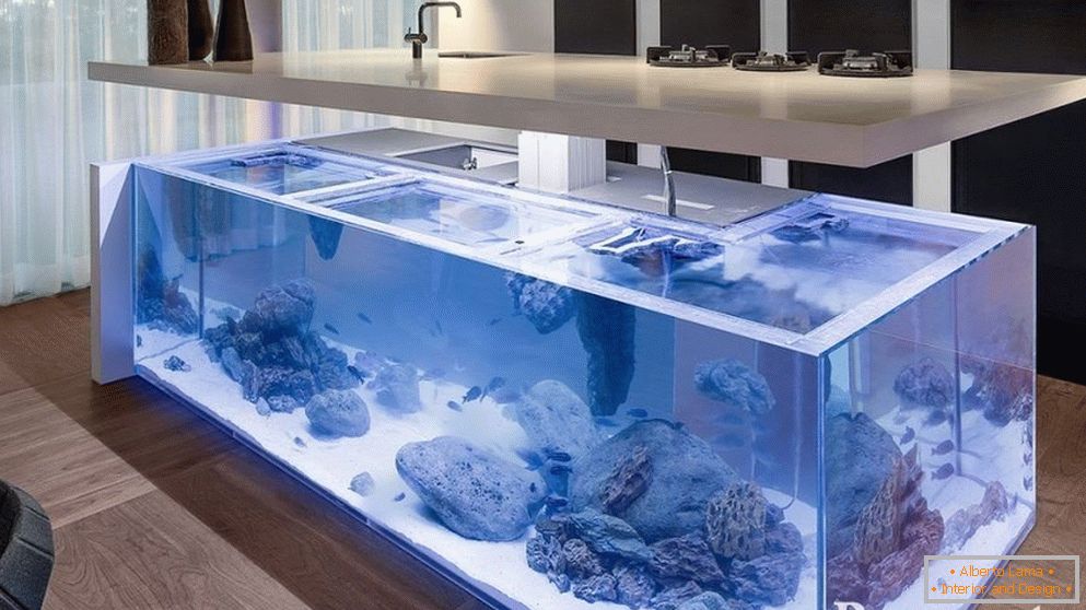 Aquarium Biotope