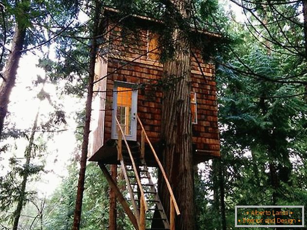 Une maison sur un arbre avec une échelle. Photo 1