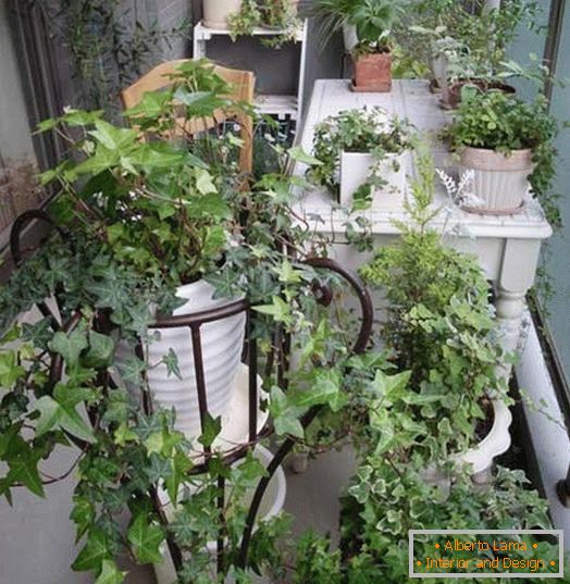 Petit jardin на маленьком балконе