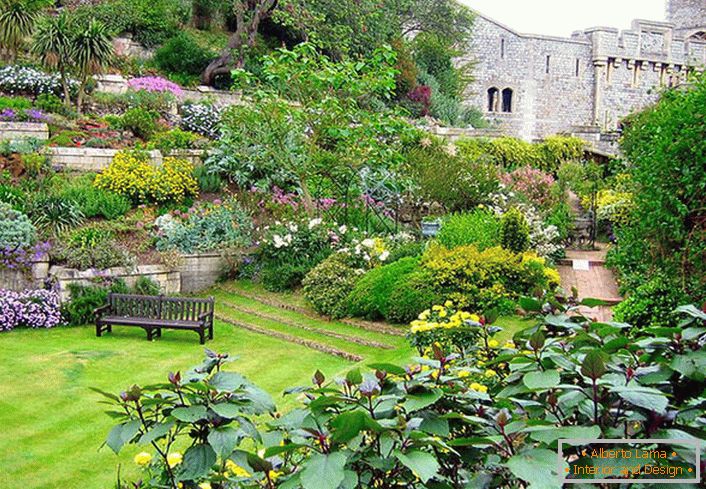 Pour la conception du paysage dans le style méditerranéen, une pelouse anglaise a été utilisée, qui avec une abondance de fleurs rend le jardin riche et coloré. 
