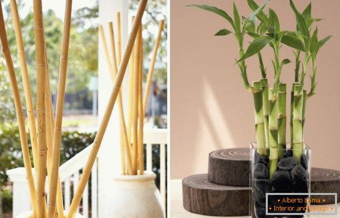 Le bambou comme décoration