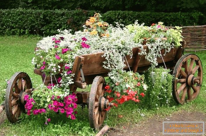 Comme un ustensile pour la création d'un parterre de fleurs, un vieux chariot restauré a été utilisé. Une solution intéressante pour le décor de la cour de la maison de campagne. 