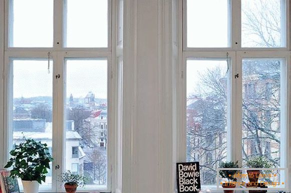 Décoration de vitrine avec livres et plantes d'intérieur