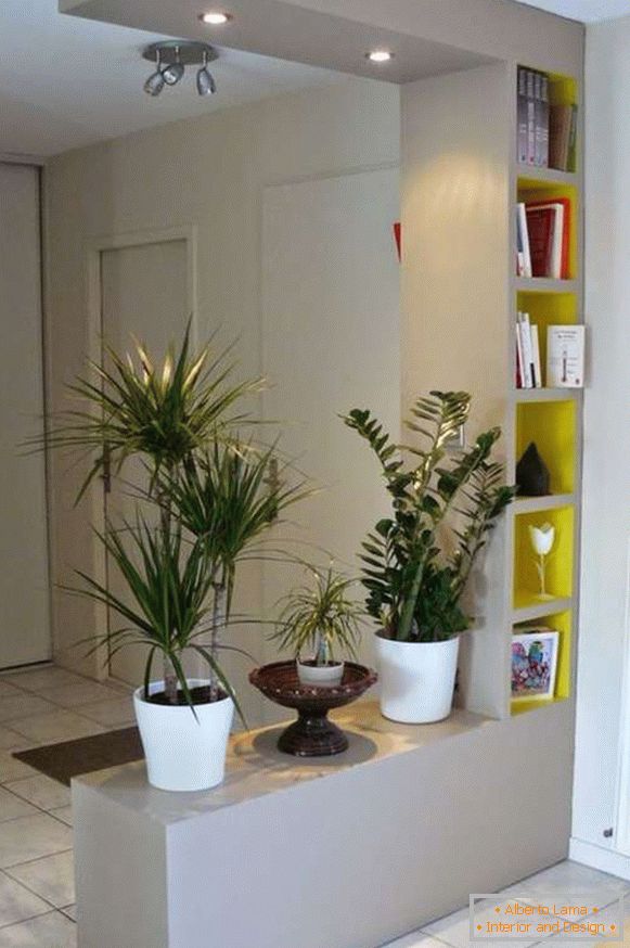 plantes d'intérieur originales à l'intérieur du couloir, photo 13