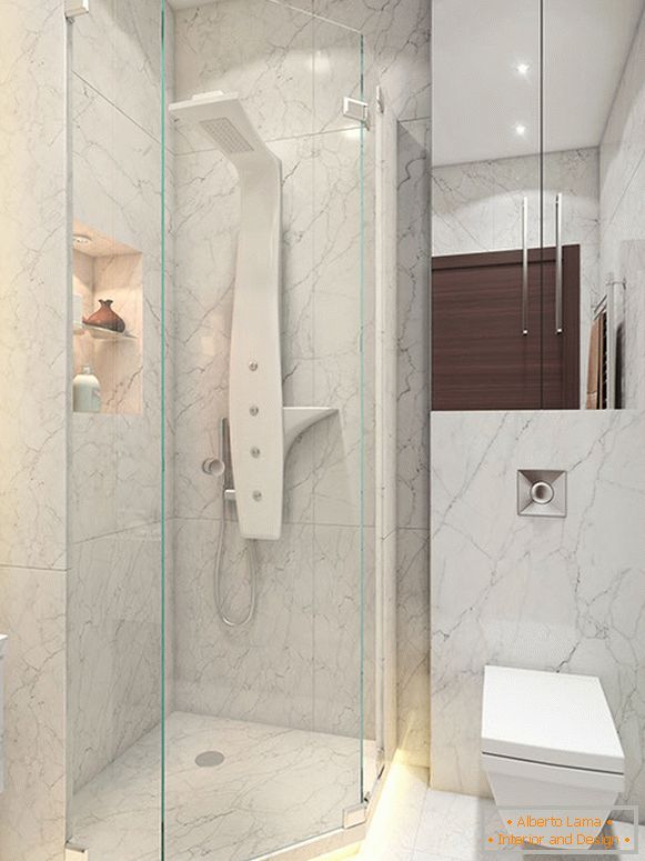L'idée d'une petite salle de bain est une cabine de douche non standard