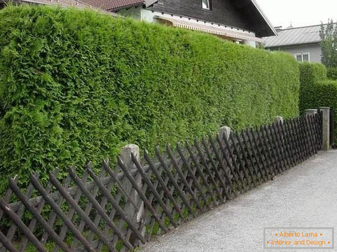 clôtures pour une maison privée