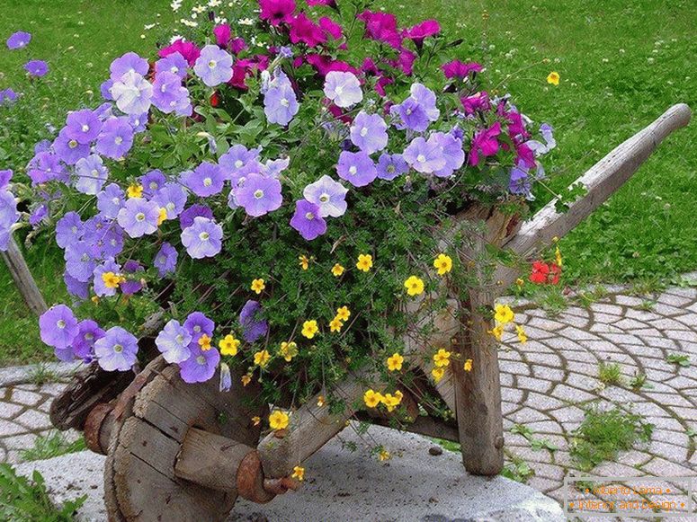 Brouette décorative avec des fleurs