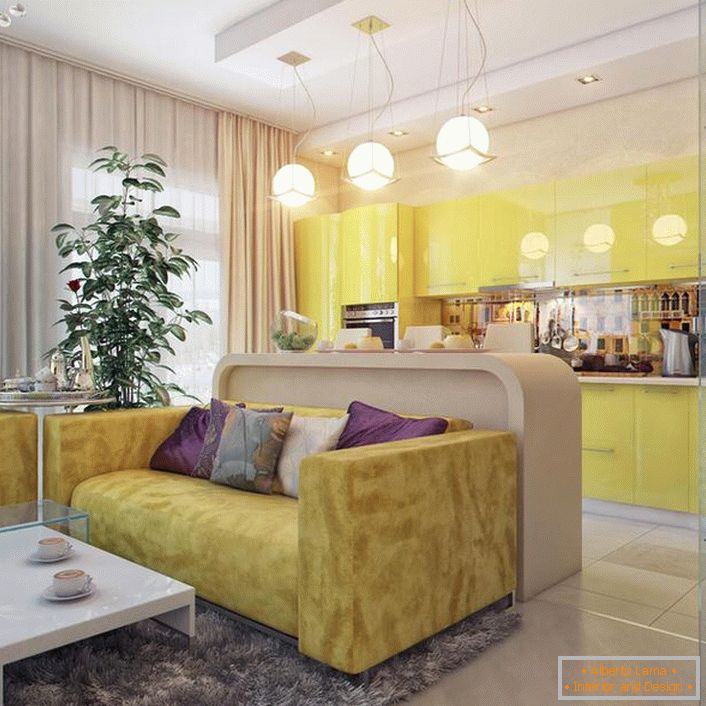 Cuisine-salon est une excellente solution fonctionnelle pour la conception d'un appartement situé dans une métropole moderne. 