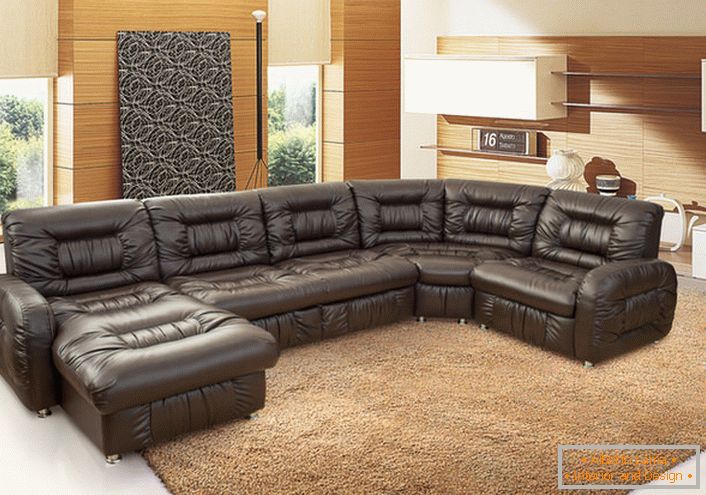 Concepteur luxueux de meubles rembourrés en cuir pour un salon spacieux.