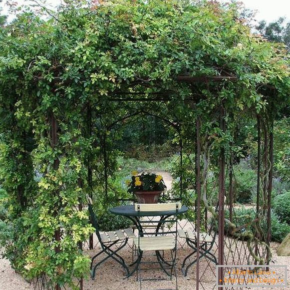 Idées pour un jardin - une tonnelle romantique