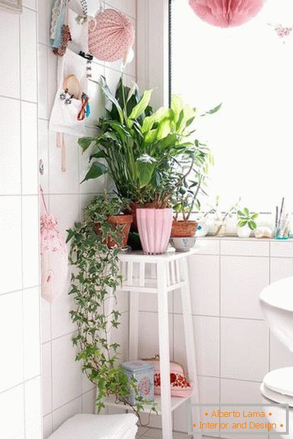 Des plantes dans le coin de la salle de bain