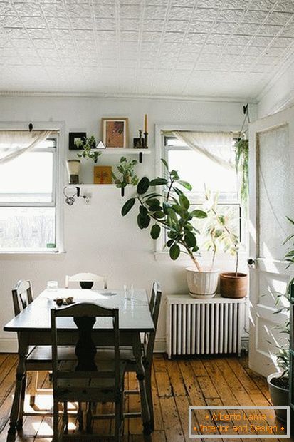 Plantes à l'intérieur d'une salle à manger