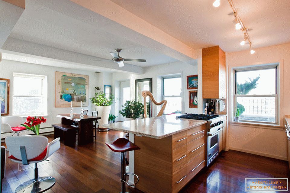 Appartement avec cuisine et salle à manger avec vue sur Brooklyn