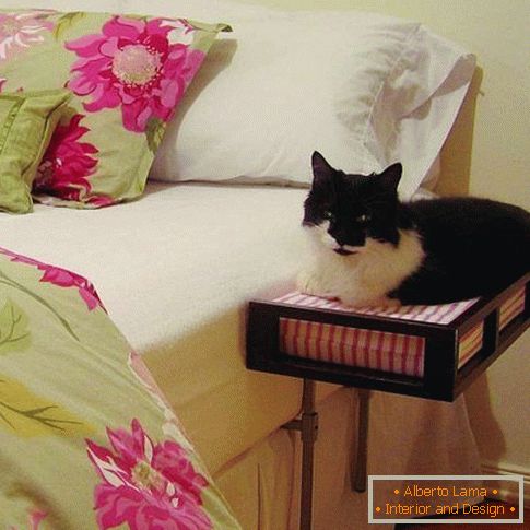 Table de chevet avec une place pour un chat