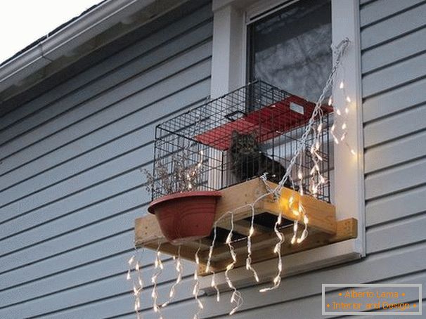 Volière pour un chat sur un rebord de fenêtre