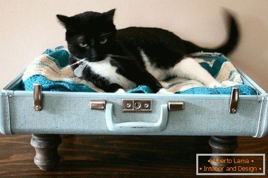 Place pour un chat dans une valise