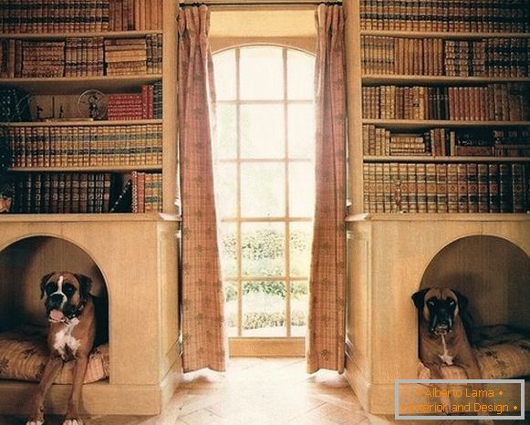Cabines pour chiens dans des étagères à livres