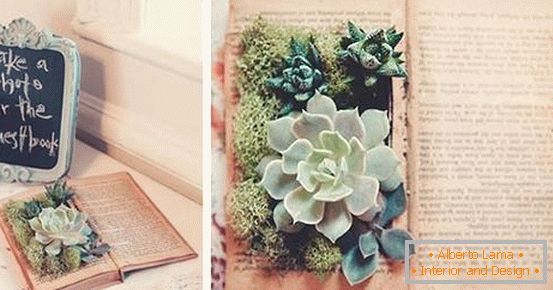 Decor - un livre avec des plantes