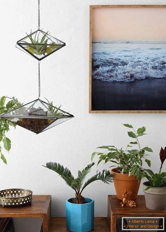 Pendentif décoration - pots en verre avec des plantes