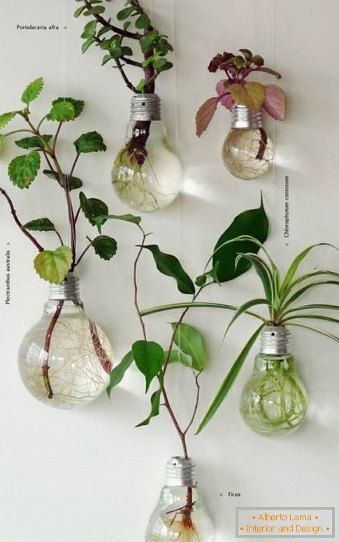 Comment intéressant de mettre des plantes d'intérieur