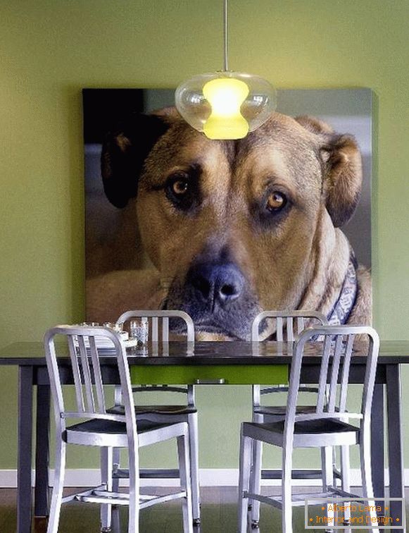 Photo du chien comme décoration du mur