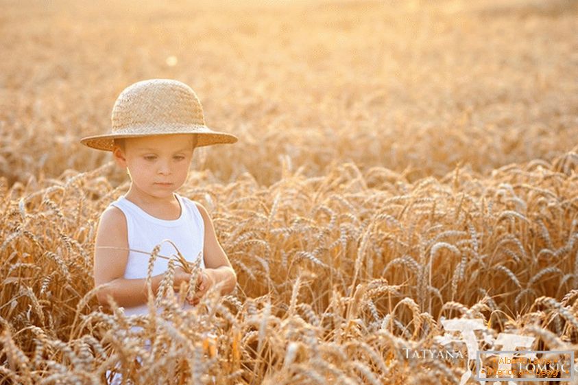 Un enfant dans un champ de blé