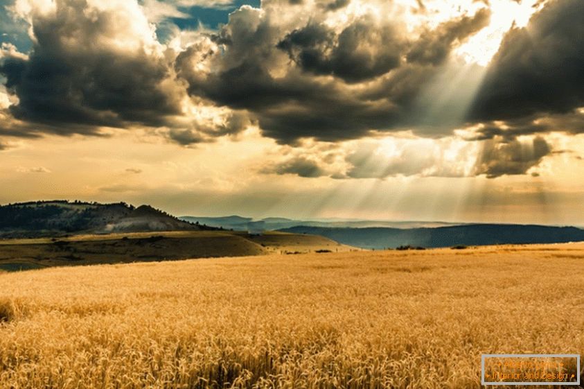 Le soleil fait son chemin à travers les nuages, au-dessus du champ de blé
