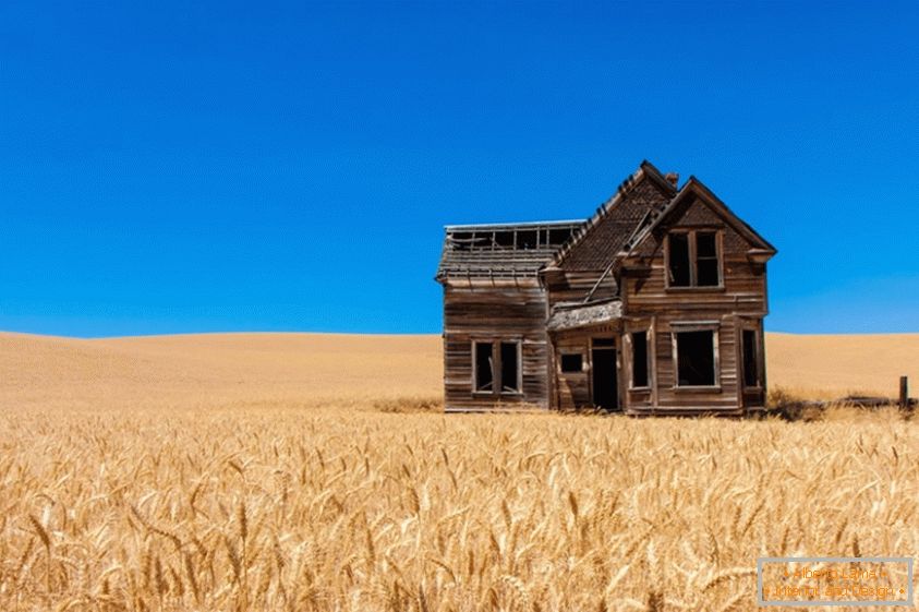 Vieille maison dans un champ de blé
