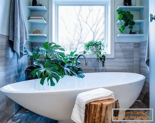 Petite salle de bain avec des plantes vertes