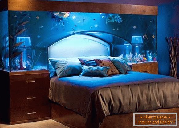 lits à tête d'aquarium