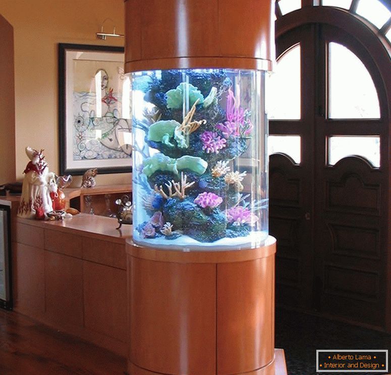 Aquarium sous forme de colonne