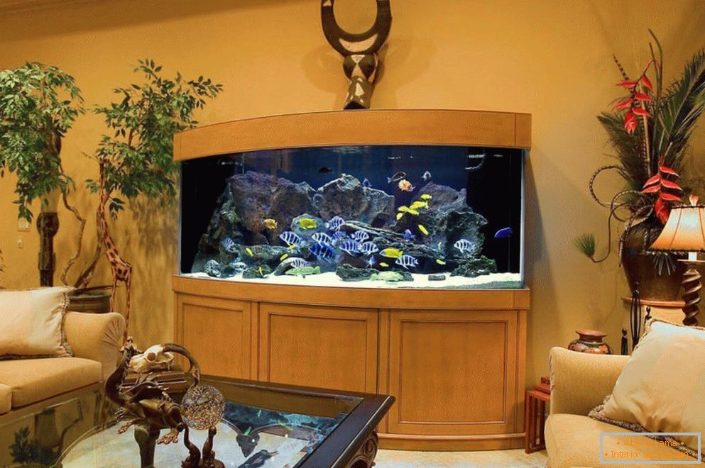 Bel aquarium в гостиной