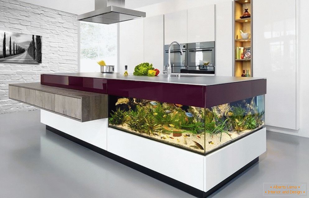 Table-aquarium dans la cuisine