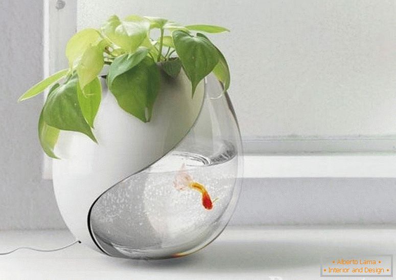 Aquarium avec un pot de fleur