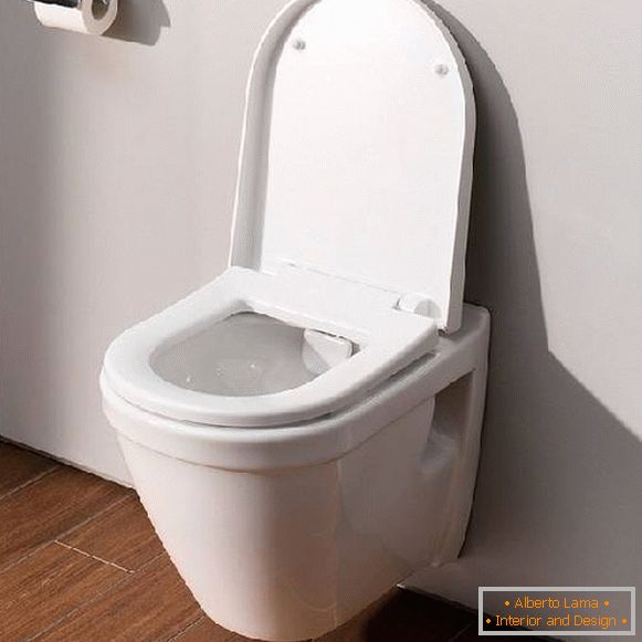 Bezobodkovy toilette, photo 13