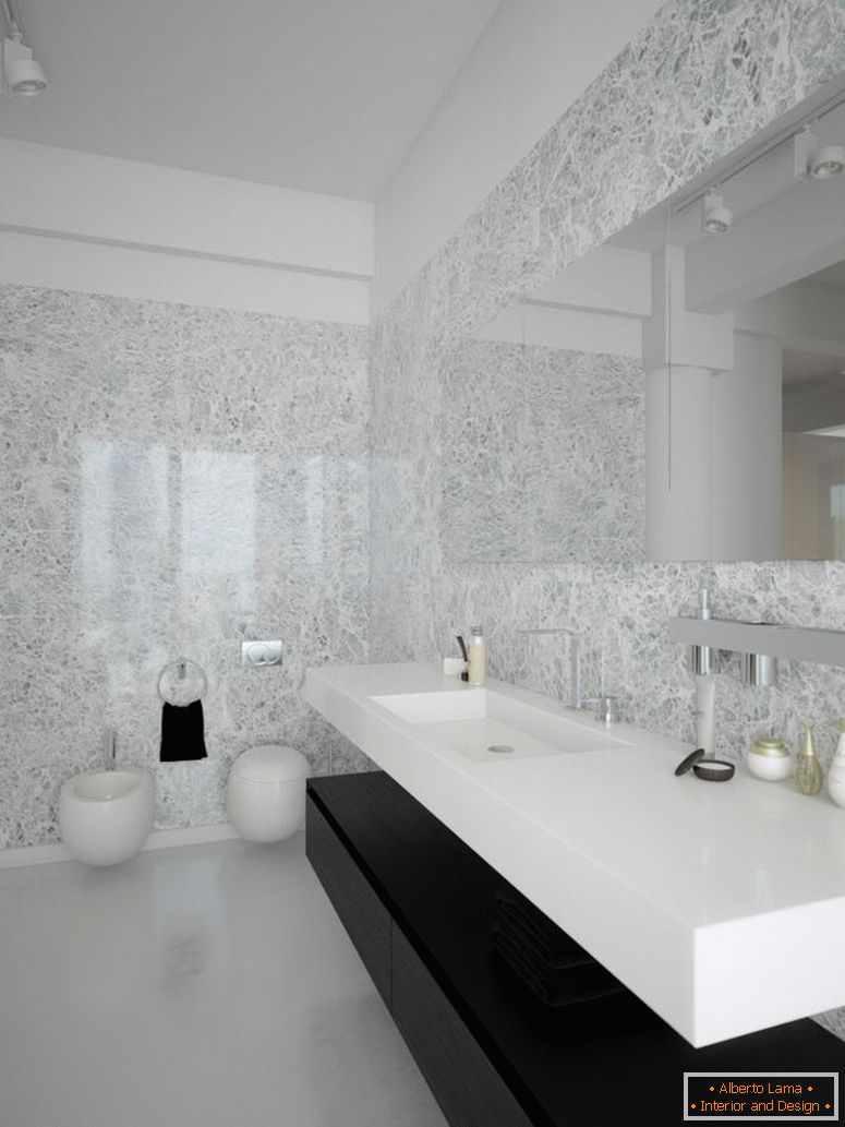 black-white-contemporary-une baignoireroom-design