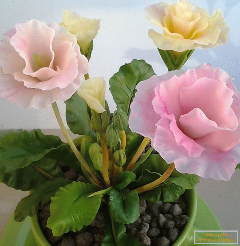 40афк2846е99к35566315а108с6-fleurs-fleuriste-primula-de-polymère-argile