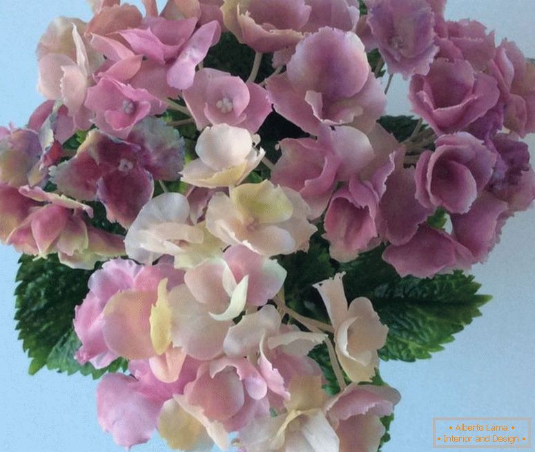 165Фз7ф3161570бъ825ebb7244dnr-fleurs-floristique-hortensia-fleurs-floristique
