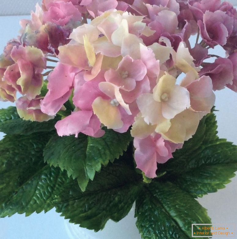 ф49са0аа77981в141бцаабфа66ед-flowers-floristics-hydrangea-flowers-floristics