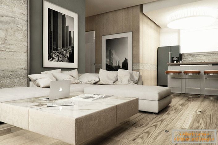 La conception sobre du canapé dans un style high-tech est remarquable pour de nombreux oreillers identiques de la même couleur que le revêtement. 