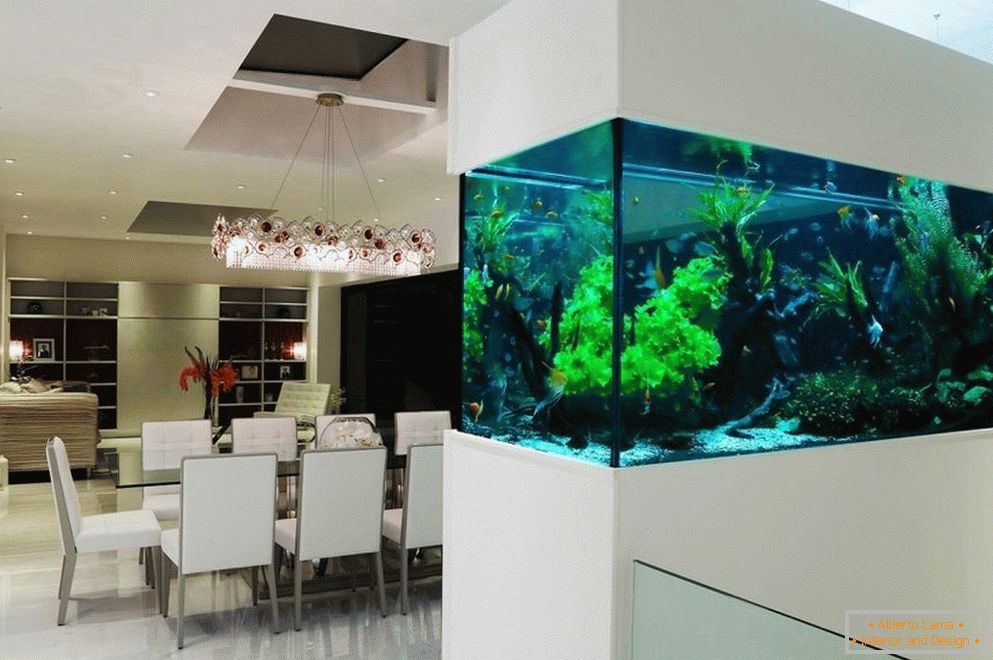 Salle à manger intérieure avec aquarium