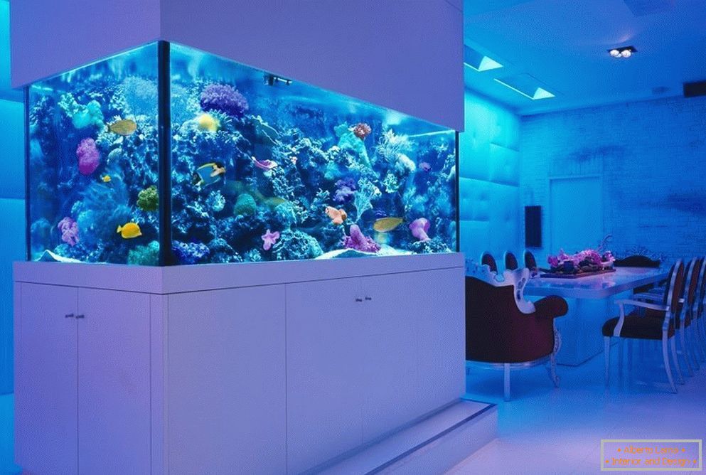Aquarium marin utilisant des coraux vivants 