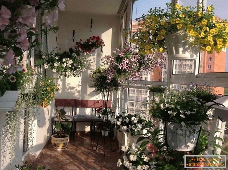 Balcon avec des fleurs